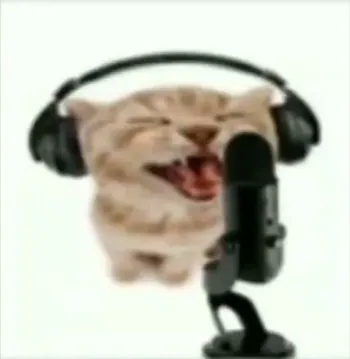 CatBr0S