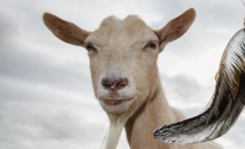 Kick profile picture for @goat