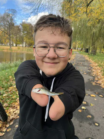 Mr_kikut