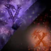 XedVen