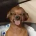 Scarrr444