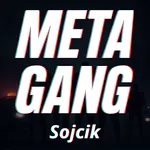 sojcik