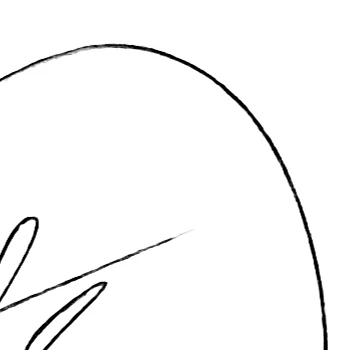 Kick profile picture for @orders