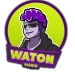 WatonMario Profile Picture
