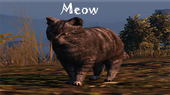 MeowKittyTheMeow
