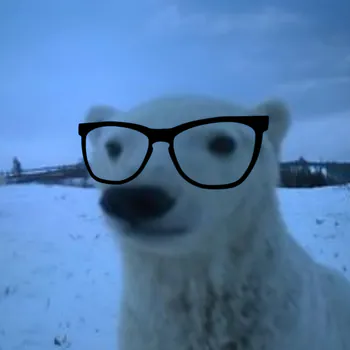 snooziita