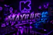 maxilius16
