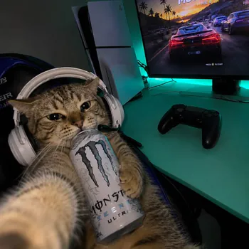 clap_gg