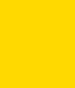yellow_boi