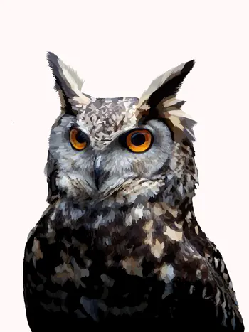 EagleJuanda