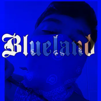 berkanbrando