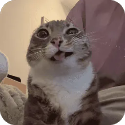 gubate1