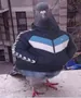 pegionmaster31