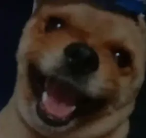 itsBeAn_time