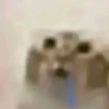 legit_axcl