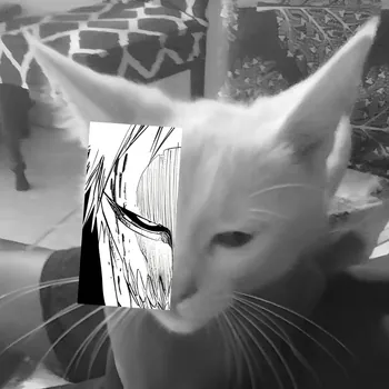 no_kuu12