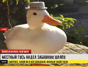 animegoose228