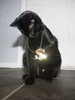 VeyroxLive