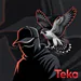 Teko2xd