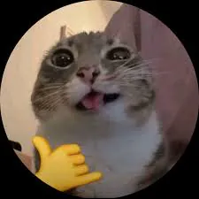 MustafaKerem0