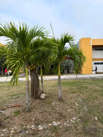 LosSexologos