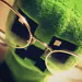 el_fazzy