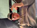 ItsAquiles