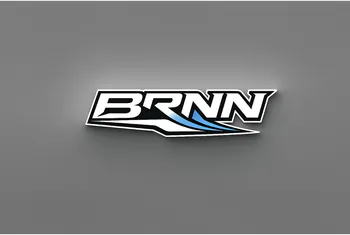 BRNNdoFIFA