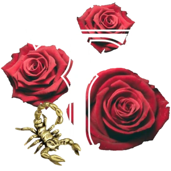 turrexx