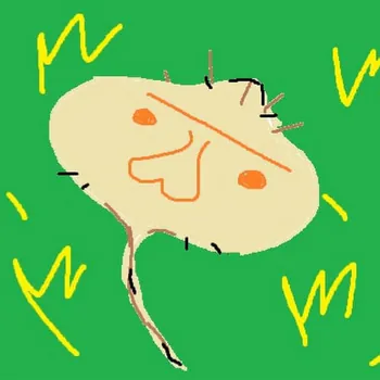 shakaaloo
