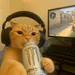 PoolishhTV