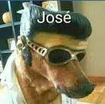 benirodriguezzz