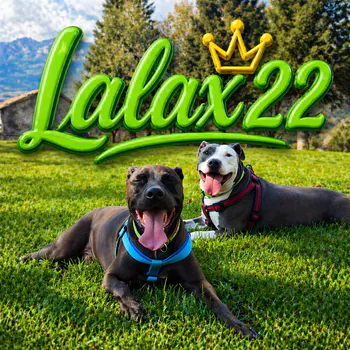 Lalax22
