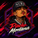 PincheMontana