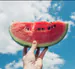 WatchpartyWatermelon690