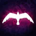 maarif_esports