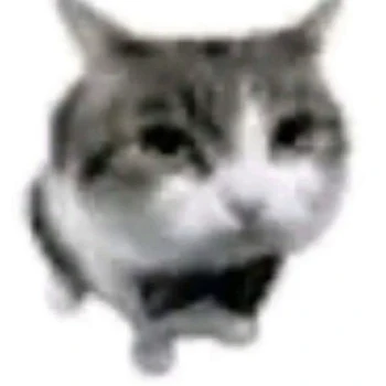 Kick profile picture for @therefore