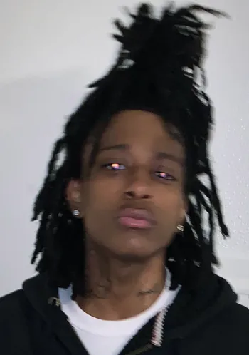 iihatedree