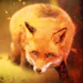 Fieryfoxx