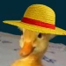 XaTheDuck