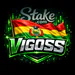 Vigosss2029