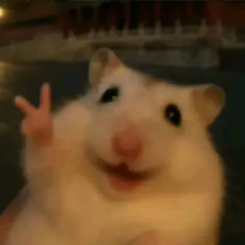 ch4uf1tA