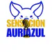 SENSACIONAURIAZUL