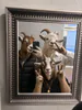 losmustys