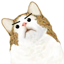 akira_kakei