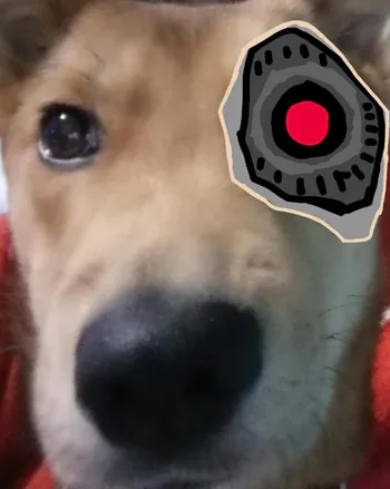 Ermeeko