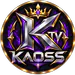 kaosstv statistics