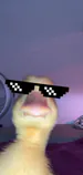 duckgaming1157