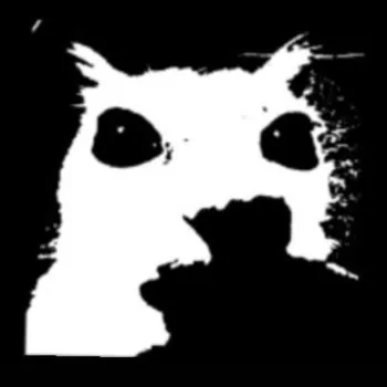 notShyGuy