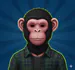 MR_MONKEY_TV
